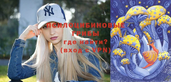 а пвп мука Надым