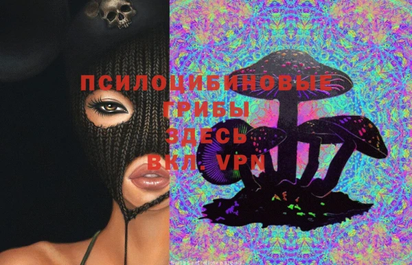 спайс Долгопрудный