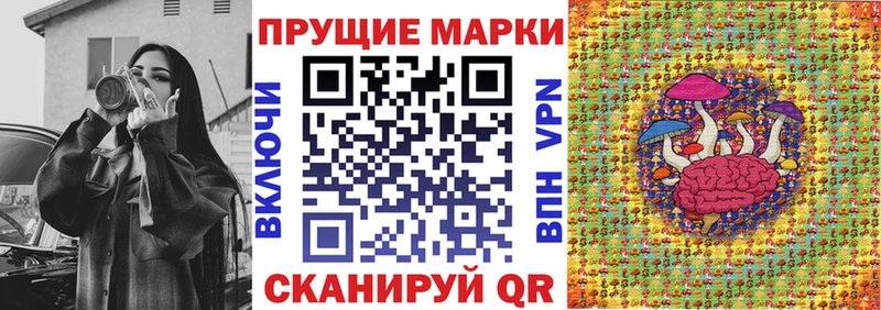купить наркоту  Сельцо  kraken   Марки 25I-NBOMe 1,8мг 