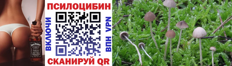 Псилоцибиновые грибы MAGIC MUSHROOMS  цены наркотик  ОМГ ОМГ рабочий сайт  Сельцо 