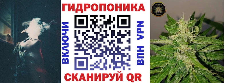 МАРИХУАНА сатива  Сельцо 